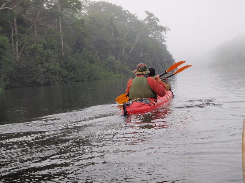 On our way trough the hearth of darkness.jpg